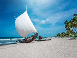  Kalpitiya – Where Dolphins Dance